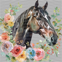 Animal Integration-DW 391